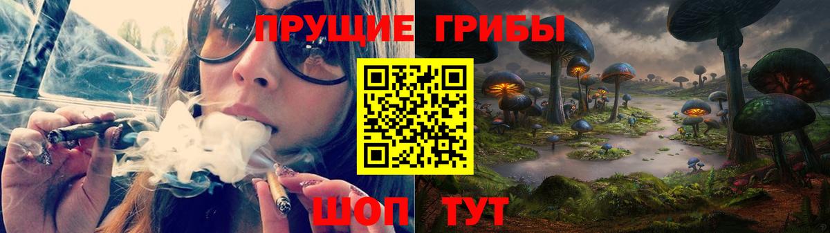Псилоцибиновые грибы MAGIC MUSHROOMS  Вход с VPN  Галлюциногенные грибы прущие грибы  Новотроицк 